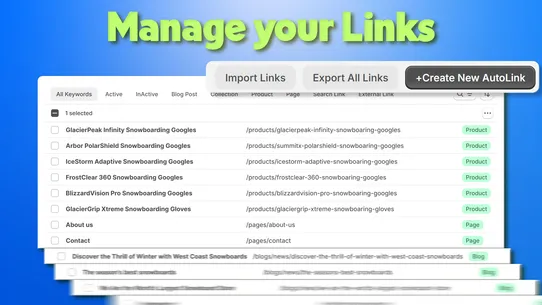 SEO AutoLinks ‑ InterLinks screenshot