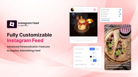 Add Instagram Feed ‑ Tagembed screenshot