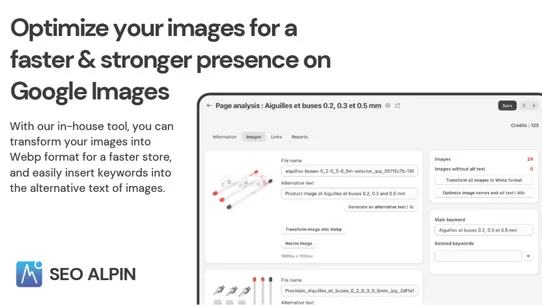 SEO Alpin screenshot