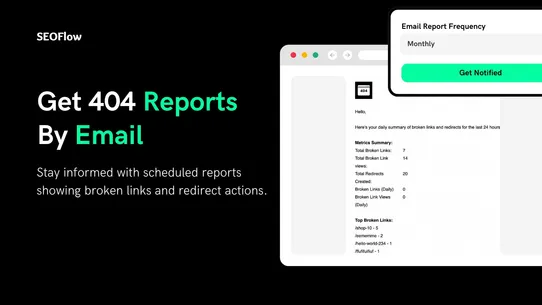 SEOFlow – 404 Link Redirect screenshot