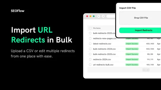 SEOFlow – 404 Link Redirect screenshot