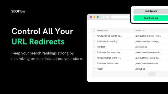 SEOFlow – 404 Link Redirect screenshot