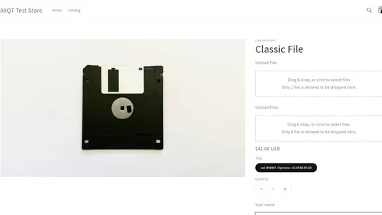 Secure File Upload by AXQT screenshot