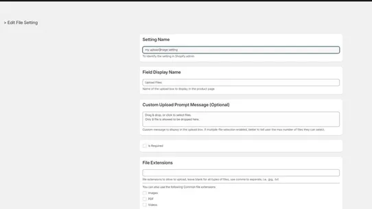 Secure File Upload by AXQT screenshot