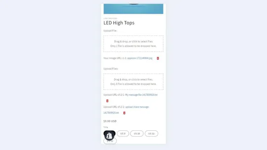 Secure File Upload by AXQT screenshot