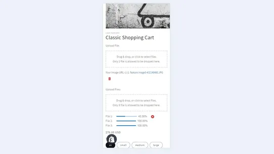 Secure File Upload by AXQT screenshot