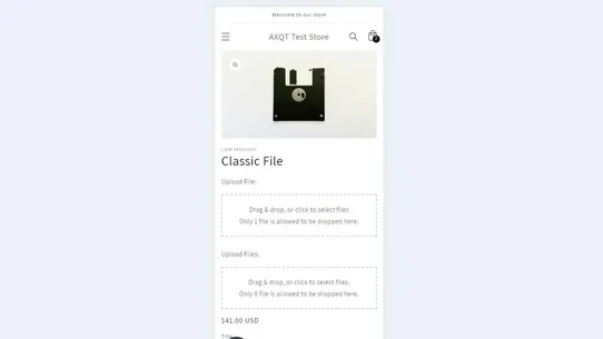 Secure File Upload by AXQT screenshot