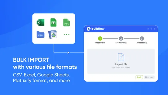 BulkFlow Bulk Update &amp; Import screenshot