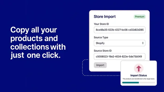 Store Importer &amp; Cloner screenshot