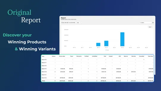 Original Report screenshot