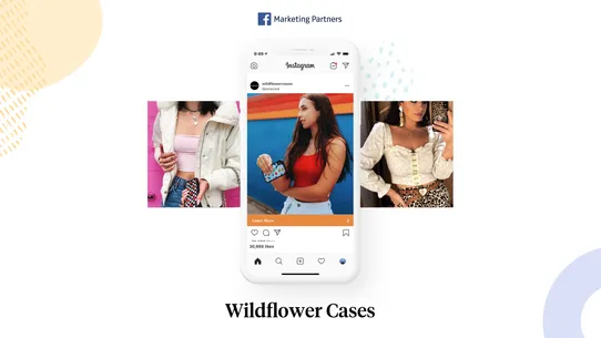 Snappic ‑ Instagram Ads screenshot