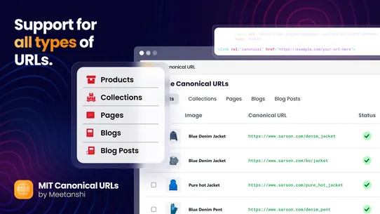 MIT Canonical URLs screenshot
