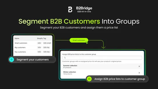 B2Bridge ‑ B2B All in One screenshot