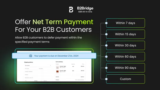 B2Bridge ‑ B2B All in One screenshot