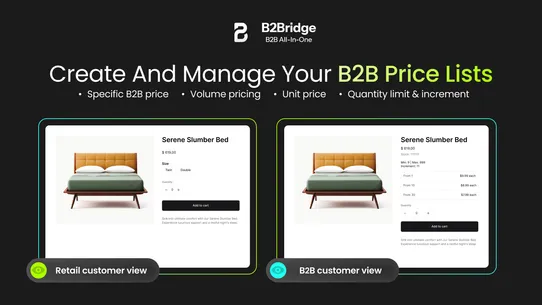 B2Bridge ‑ B2B All in One screenshot