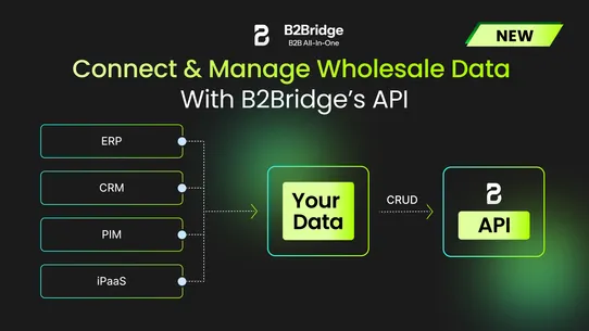 B2Bridge ‑ B2B All in One screenshot