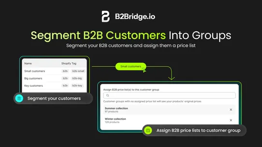 B2Bridge B2B Wholesale Pricing screenshot
