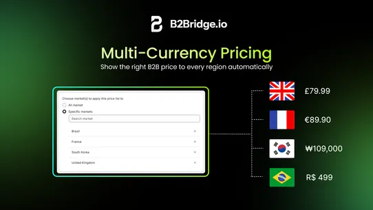 B2Bridge B2B Wholesale Pricing screenshot