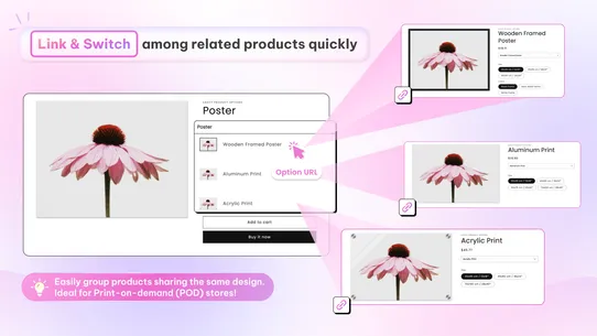 Easify Product Options screenshot