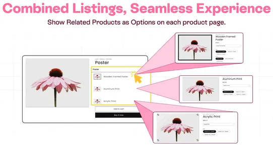 Easify Product Options Variant screenshot