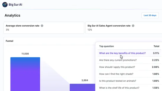 Big Sur AI Sales Agent screenshot
