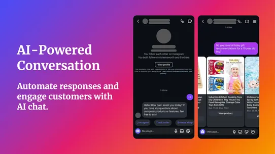 InstaChat ‑ Instagram Sales AI screenshot