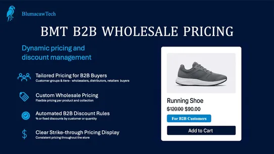 BMT B2B Wholesale Pricing screenshot