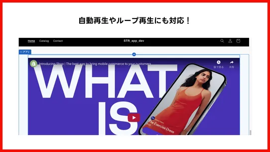 YouTubeかんたん埋め込み screenshot