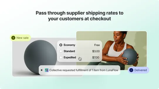 Shopify Collective screenshot