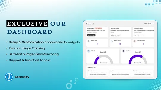 Accessify Web Accessibility screenshot