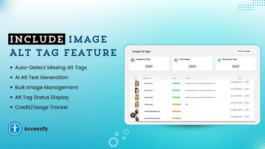 Accessify Web Accessibility screenshot