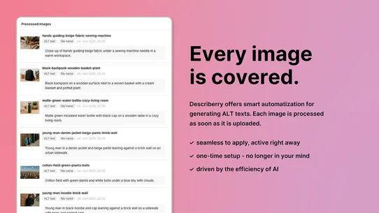 Describerry ‑ Image ALT Texts screenshot