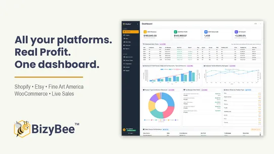 BizyBee – Creative Analytics screenshot