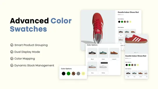 Advanced Color Options screenshot