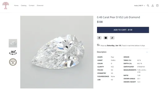 Braintree Products screenshot