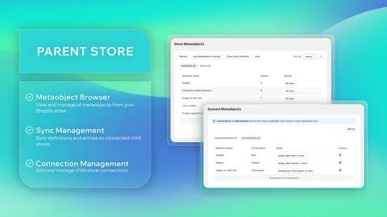 Multi‑store Metaobjects screenshot