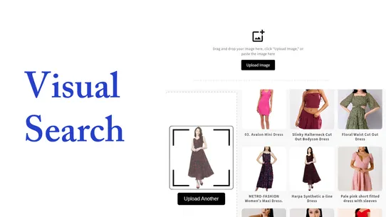 DiscoverAI: Visual Search screenshot