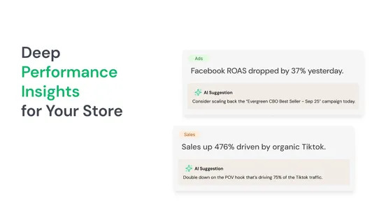 AI Marketing Agent | Ads, SEO screenshot