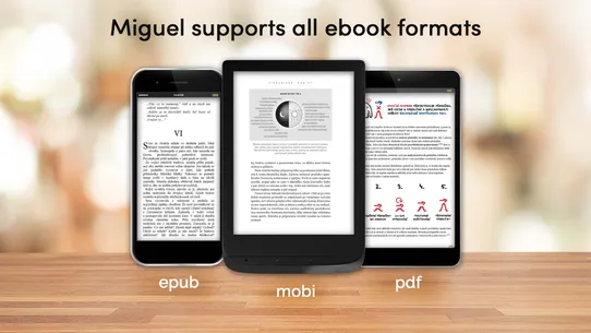 Miguel screenshot