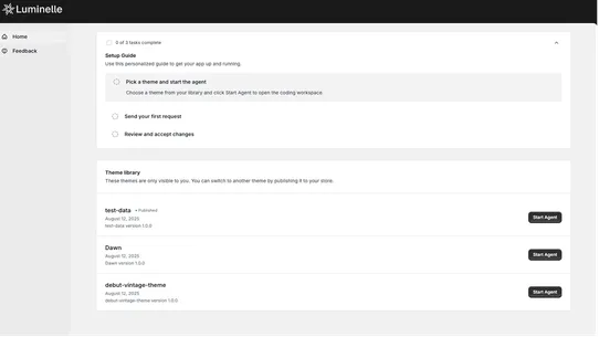 Luminelle ‑ AI Store Agent screenshot