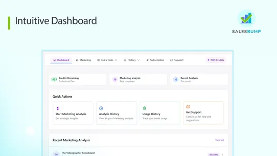 SalesBump ‑ Marketing Analysis screenshot