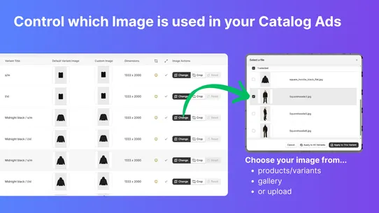 CustomPix ‑ Meta Feed &amp; DPA screenshot