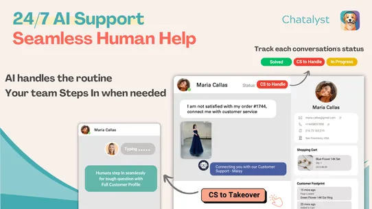 Chatalyst: Your 24/7 AI Sales screenshot