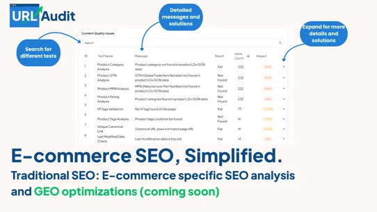 URL Audit screenshot