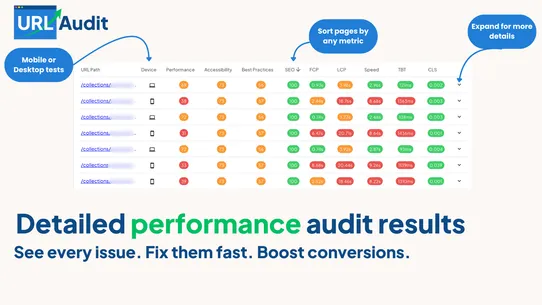 URL Audit screenshot
