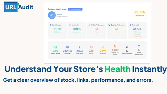 URL Audit screenshot