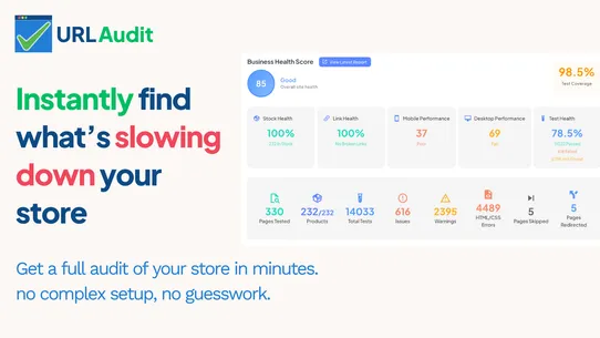 URLAudit: SEO &amp; Store Health screenshot