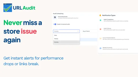 URLAudit: SEO &amp; Store Health screenshot