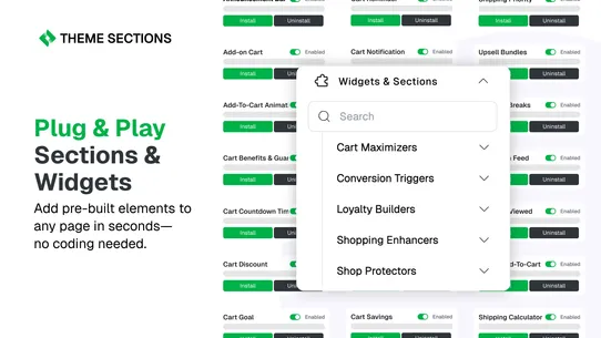 Theme Sections (Beta) screenshot