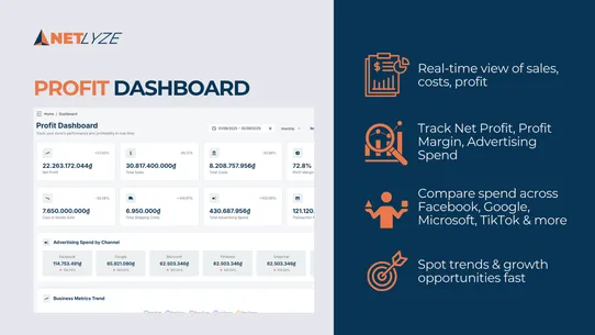 Netlyze ‑ Profit tracking screenshot